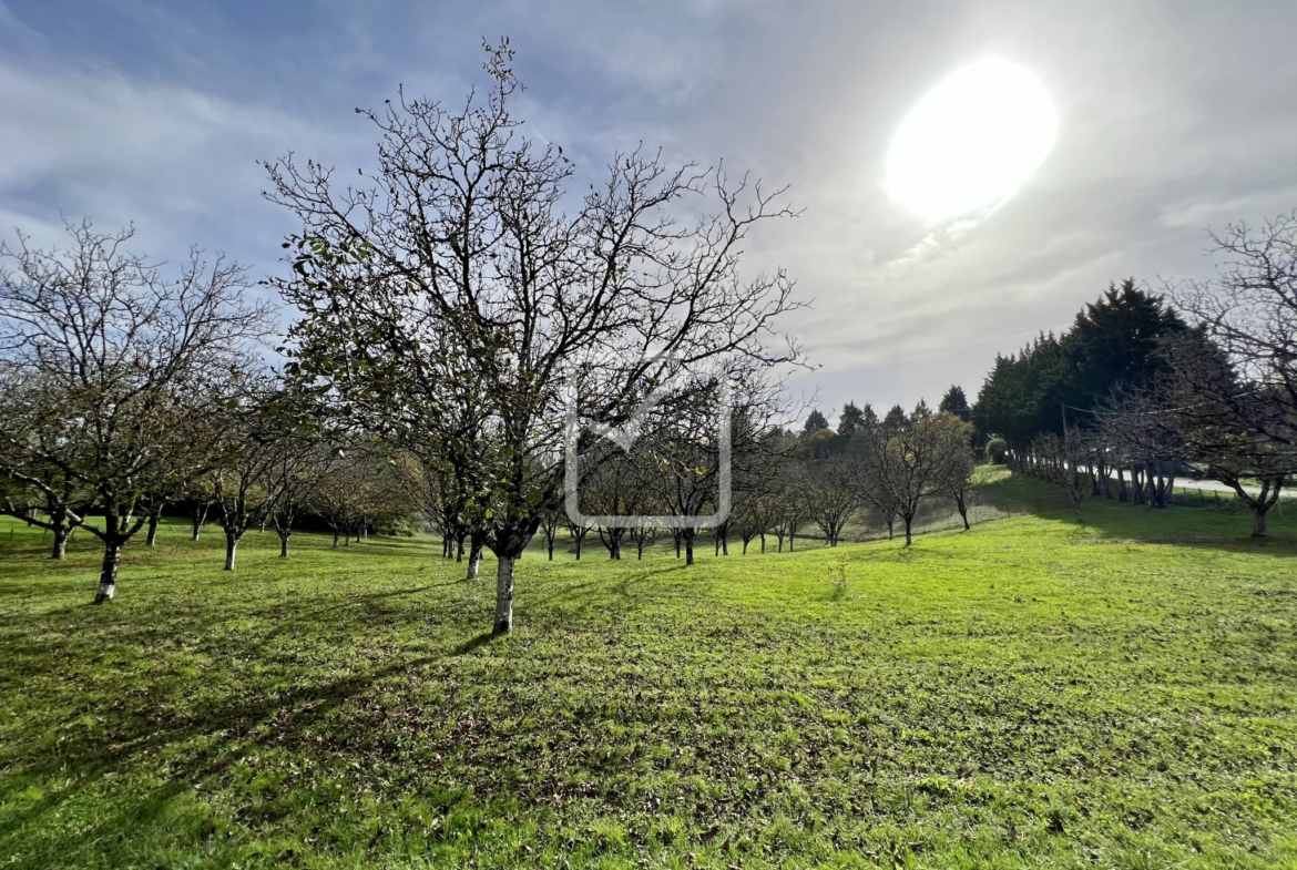 Terrain à bâtir de 2000 m² à Terrasson-Lavilledieu 