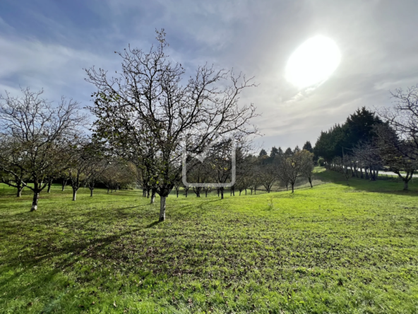 Terrain à bâtir de 2000 m² à Terrasson-Lavilledieu