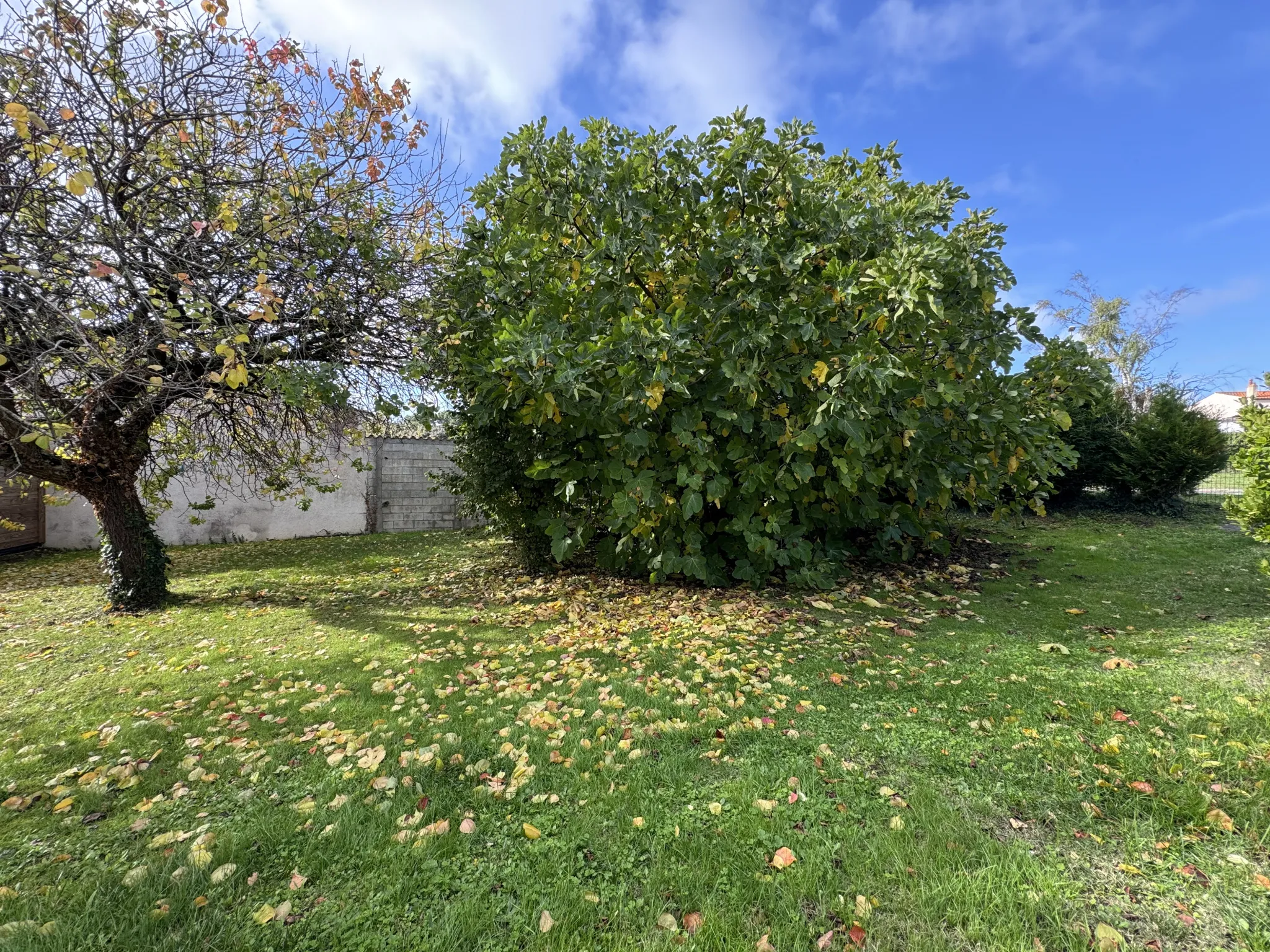 Maison à rénover de 63 m² à Meschers, Sud Royan 