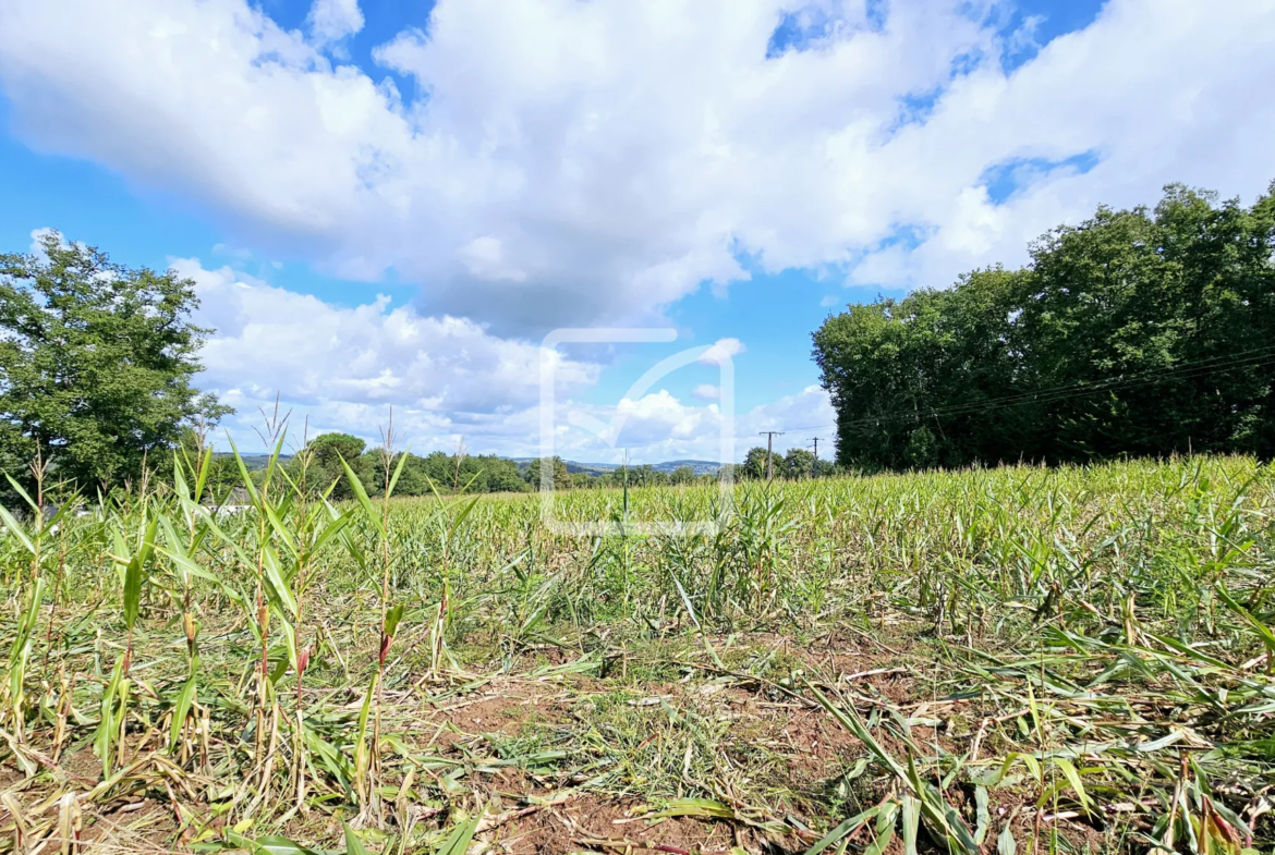 Terrain à bâtir à Ussac - 4500 m² 