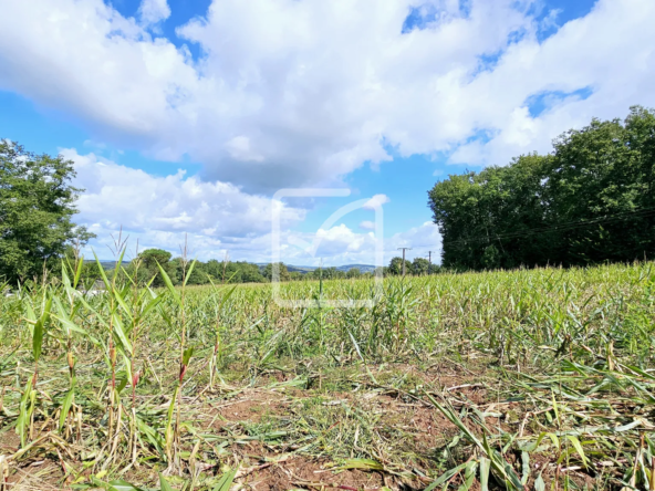 Terrain à bâtir à Ussac - 4500 m²