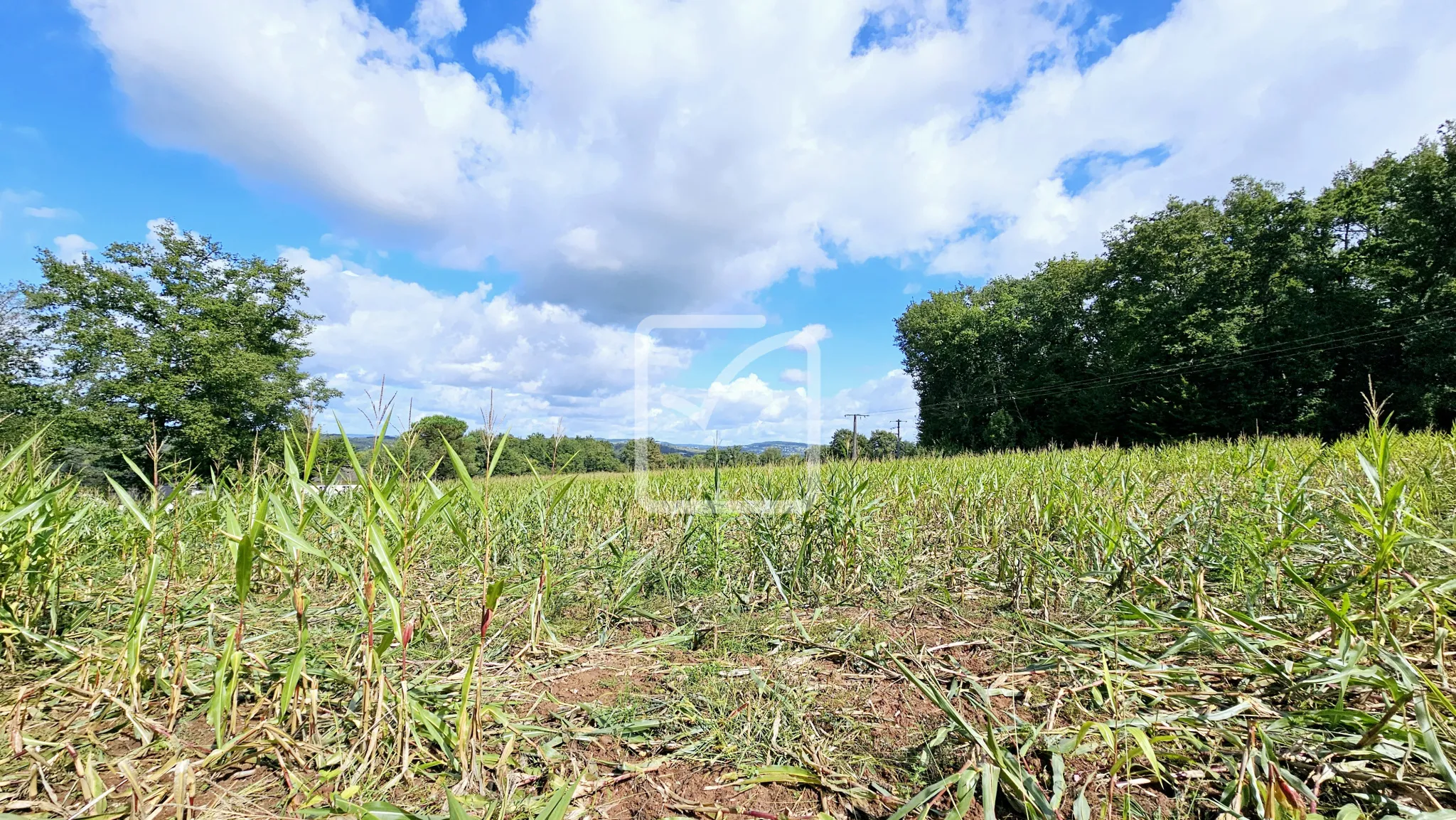 Terrain à bâtir à Ussac - 4500 m² 