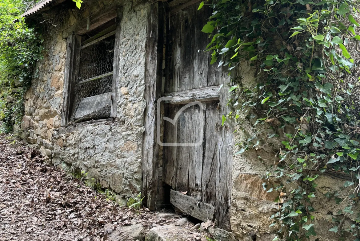 Maison rénovée 3 pièces à Saint Bonnet l'Enfantier avec jardin 