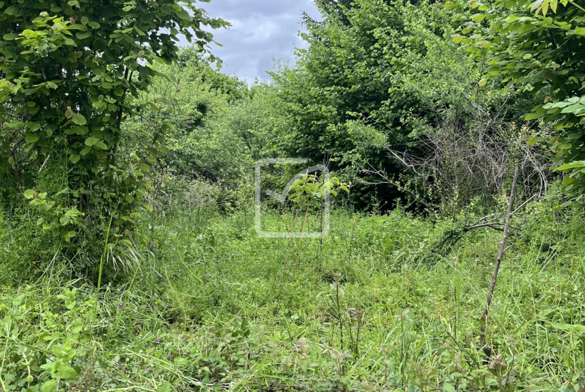 Maison rénovée 3 pièces à Saint Bonnet l'Enfantier avec jardin 