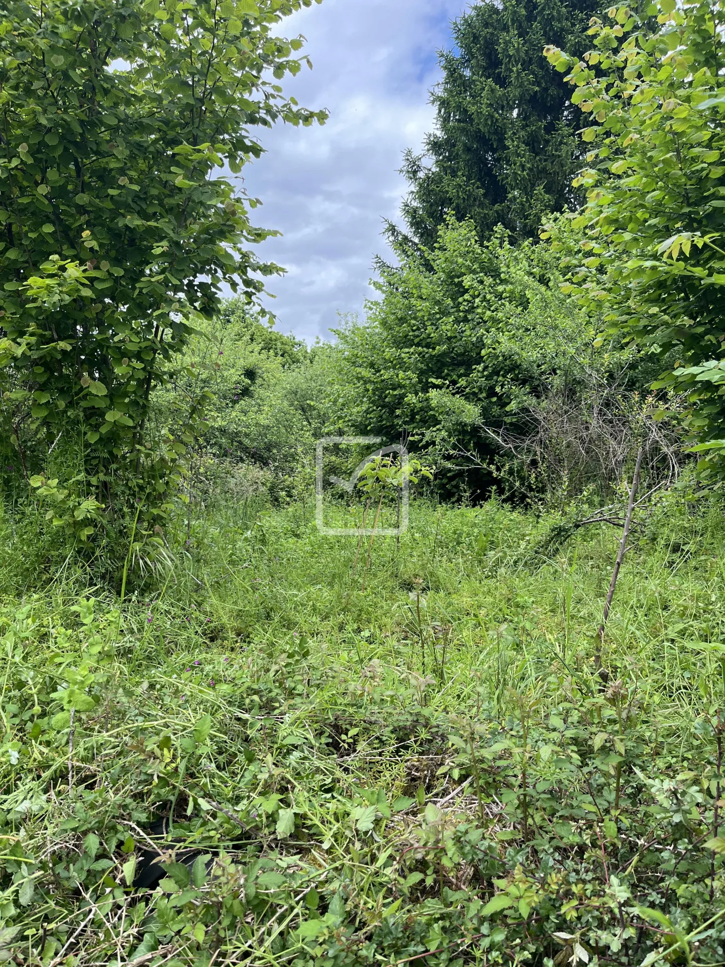 Maison rénovée 3 pièces à Saint Bonnet l'Enfantier avec jardin 