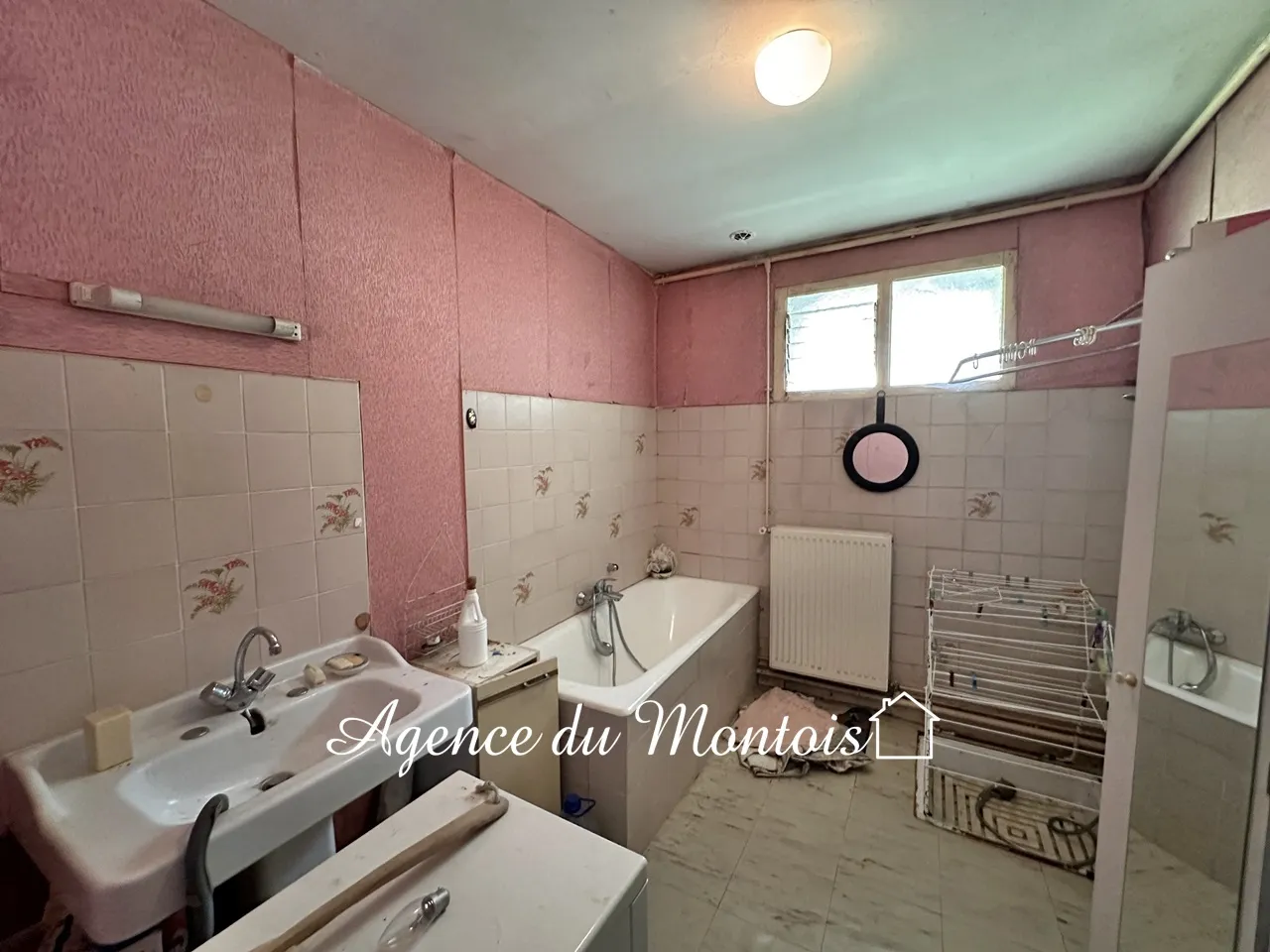 Maison à rénover à Nogent sur Seine - 2 chambres, 881m² de terrain 