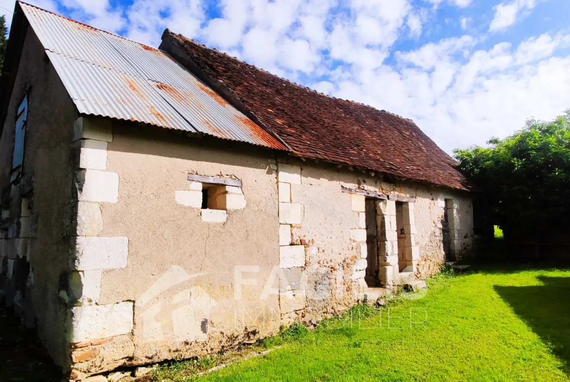 Maison à vendre à Palluau sur Indre : 3 chambres et grandes dépendances 