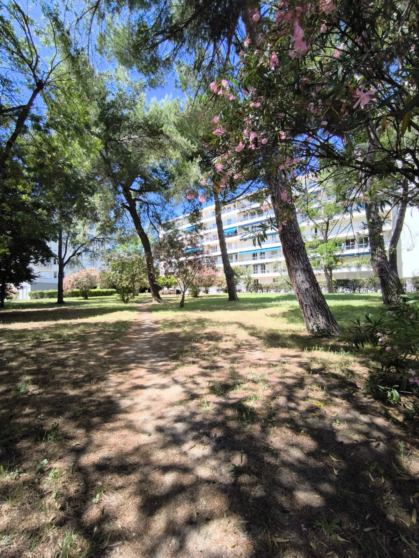 Montpellier Beaux-Arts : Appartement FF4 avec Terrasse et Cave à Vendre 