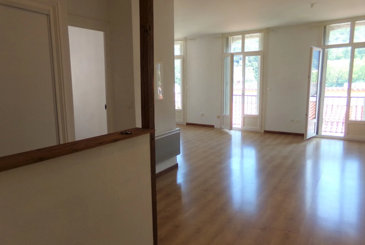 À vendre : Appartement F3 lumineux à Amélie-les-Bains-Palalda 