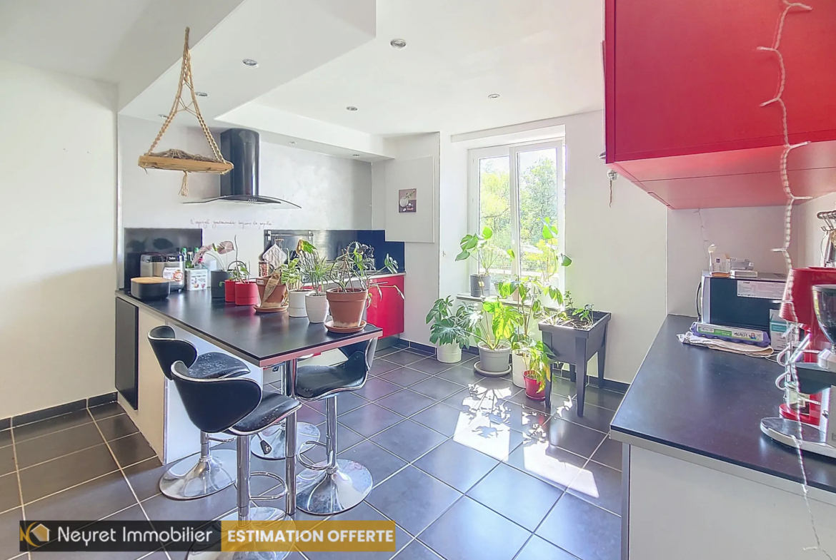 À vendre : Appartement T2 Bis de 75 m² à Vernaison, lumineux et rénové 