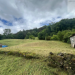 Maison en pierre mitoyenne d'un côté avec 5 chambres à Montrevel