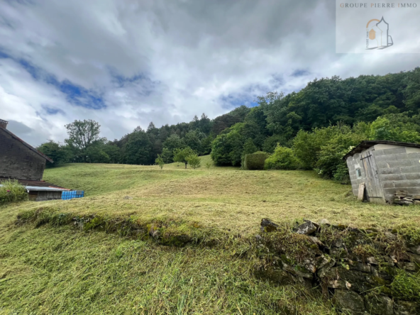 Maison en pierre mitoyenne d'un côté avec 5 chambres à Montrevel