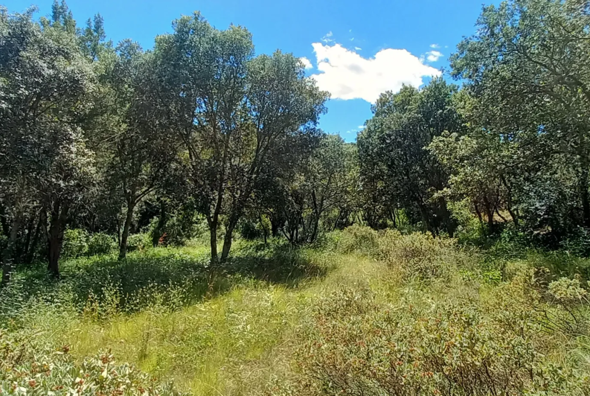 Terrain de loisirs à vendre entre Uzès et Saint Maximin 