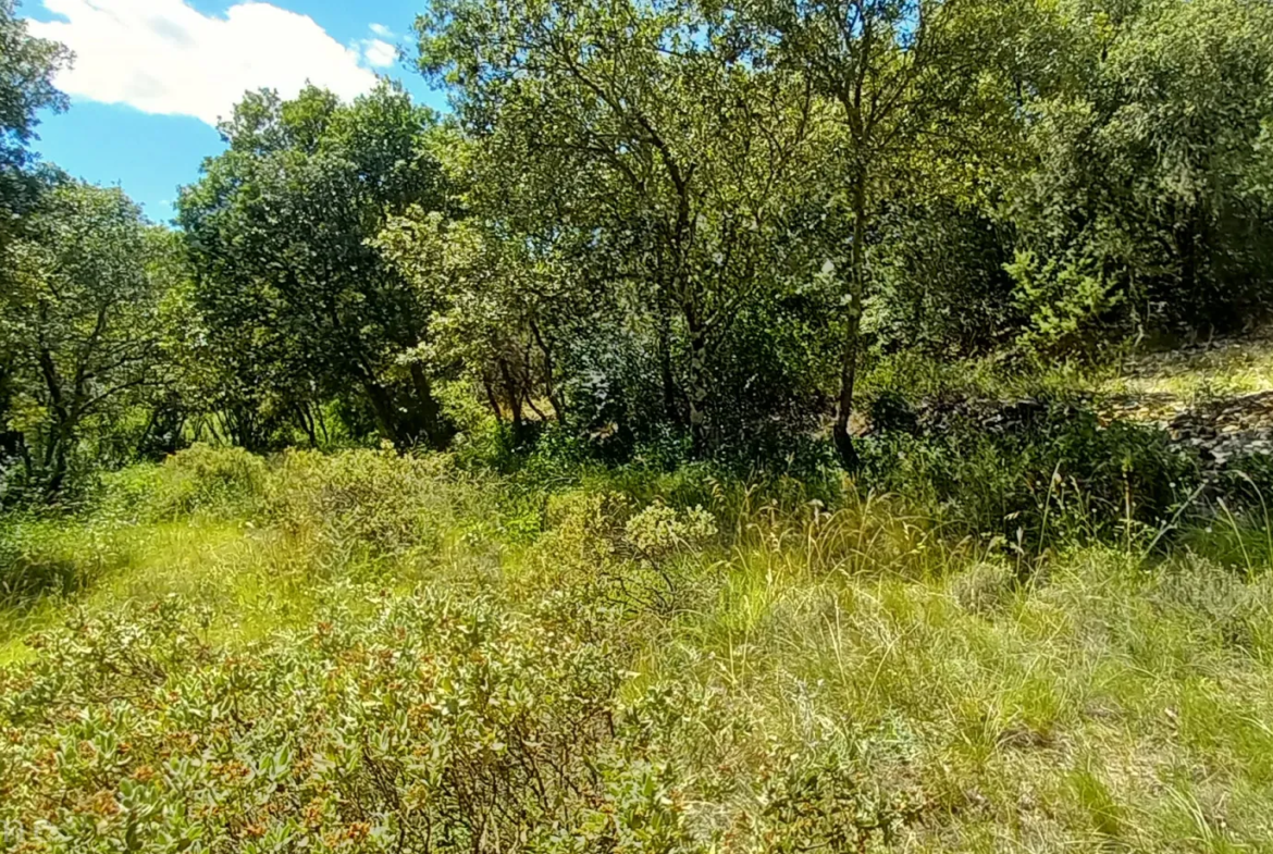 Terrain de loisirs à vendre entre Uzès et Saint Maximin 