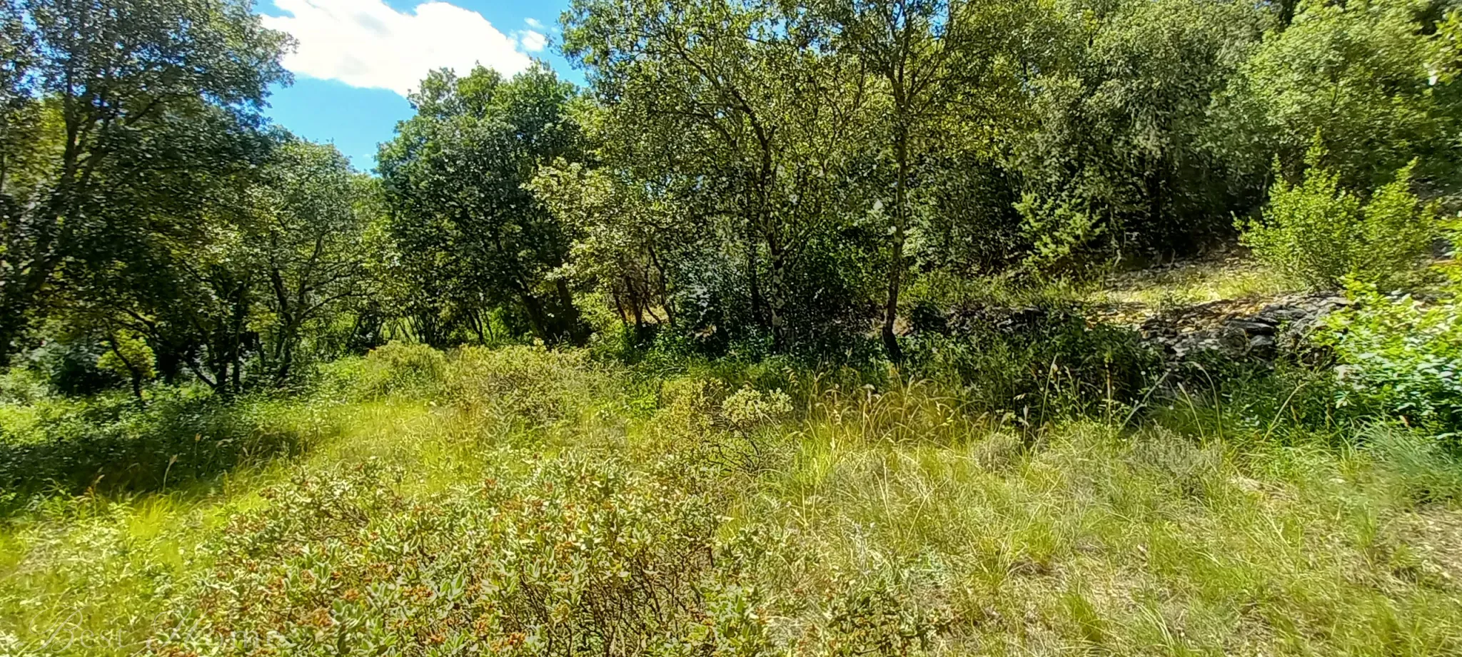 Terrain de loisirs à vendre entre Uzès et Saint Maximin 