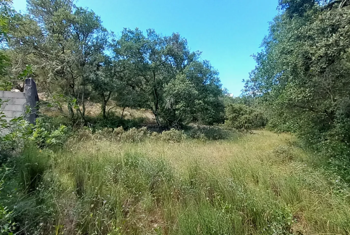 Terrain de loisirs à vendre entre Uzès et Saint Maximin 