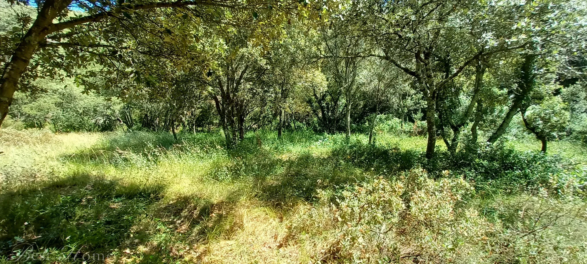 Terrain de loisirs à vendre entre Uzès et Saint Maximin 