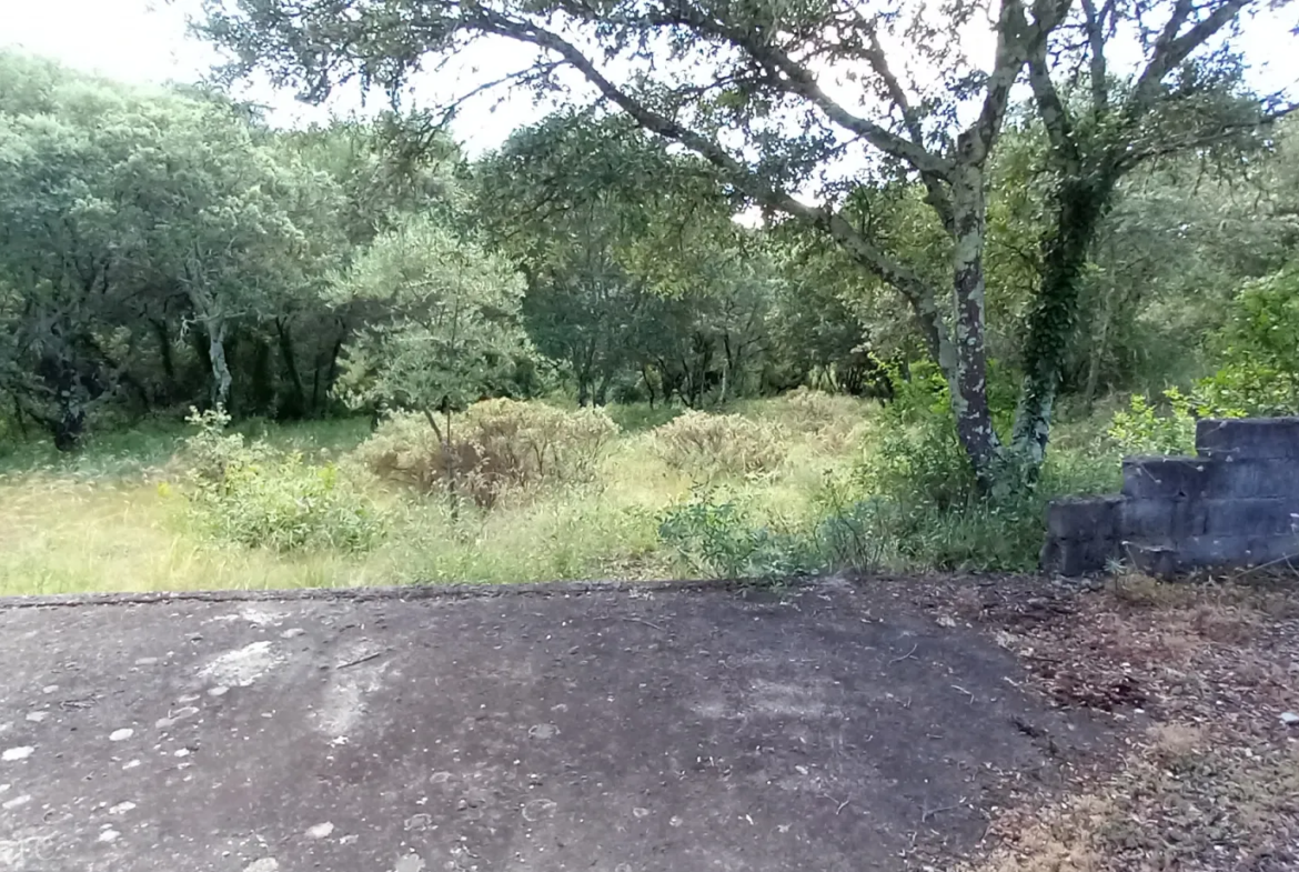 Terrain de loisirs à vendre entre Uzès et Saint Maximin 