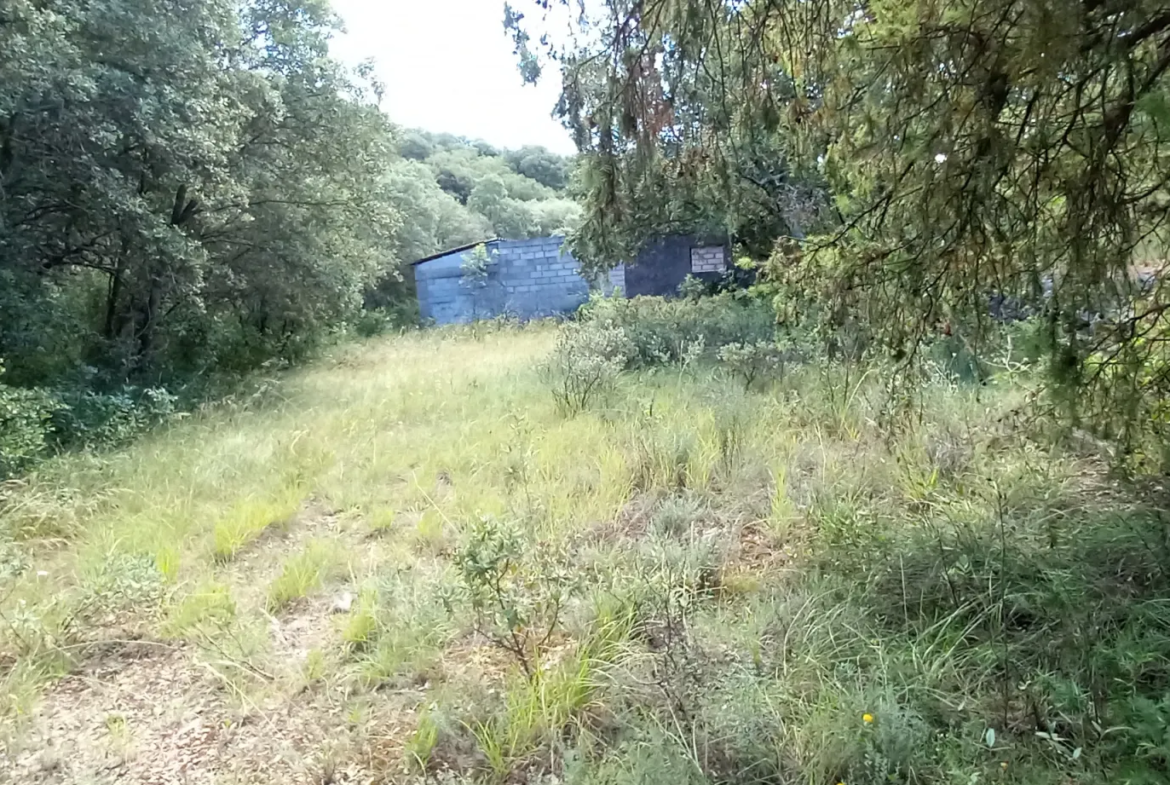 Terrain de loisirs à vendre entre Uzès et Saint Maximin 