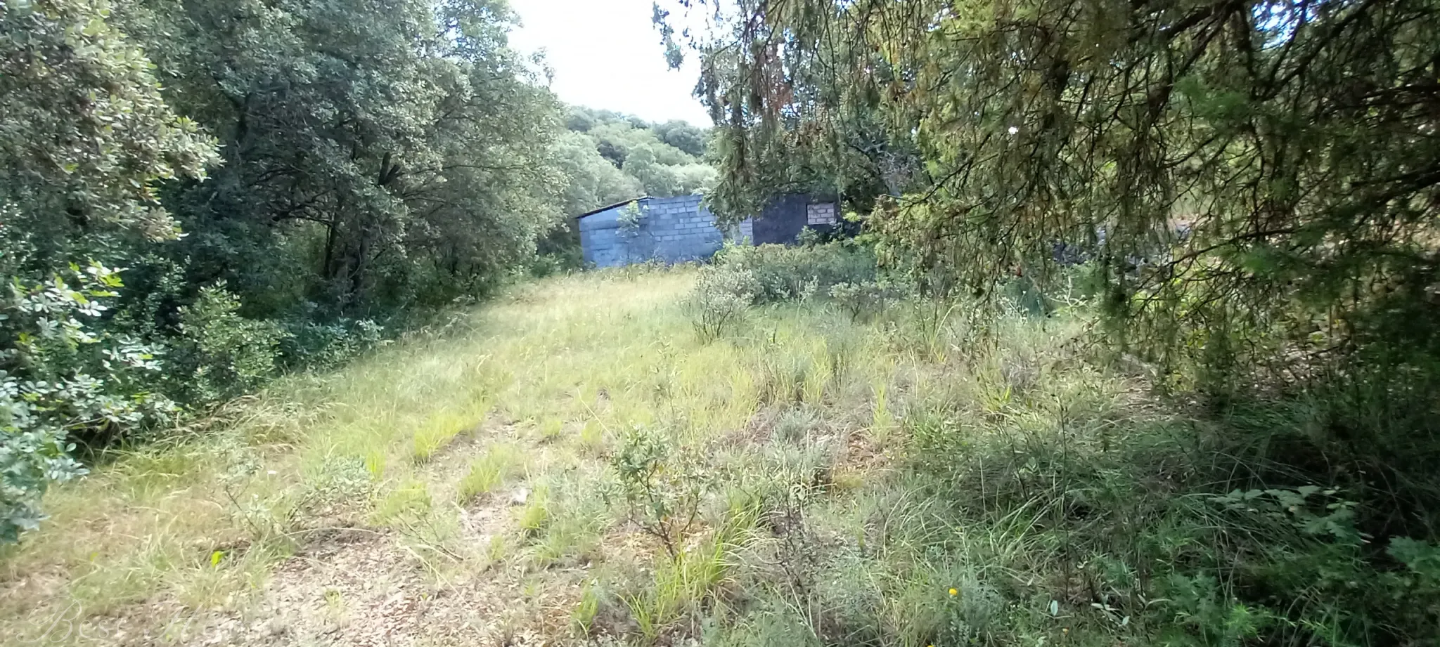 Terrain de loisirs à vendre entre Uzès et Saint Maximin 