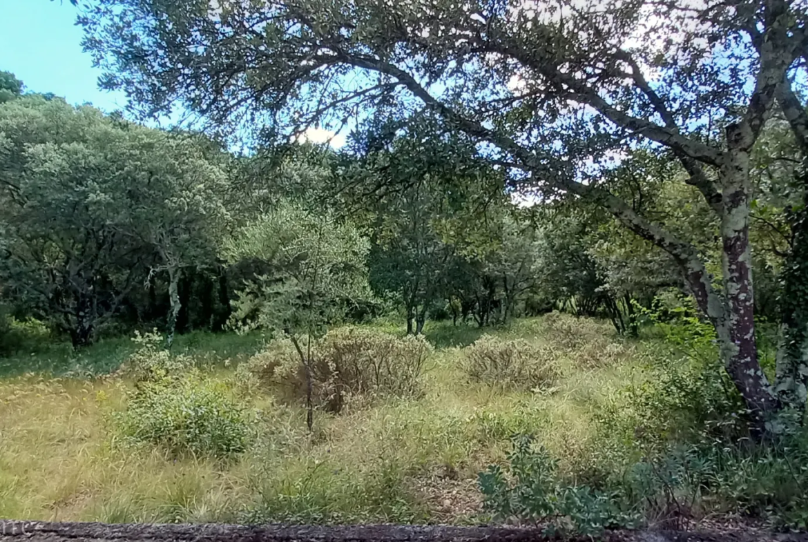 Terrain de loisirs à vendre entre Uzès et Saint Maximin 