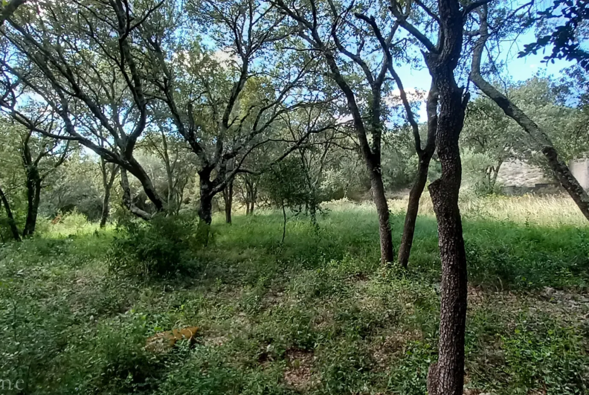 Terrain de loisirs à vendre entre Uzès et Saint Maximin 