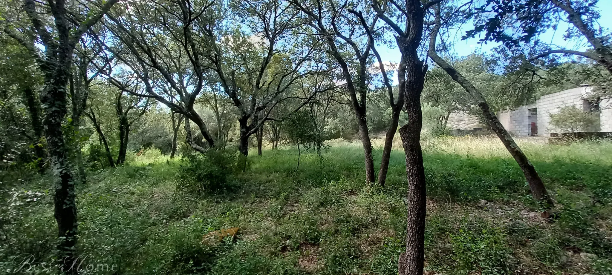 Terrain de loisirs à vendre entre Uzès et Saint Maximin 