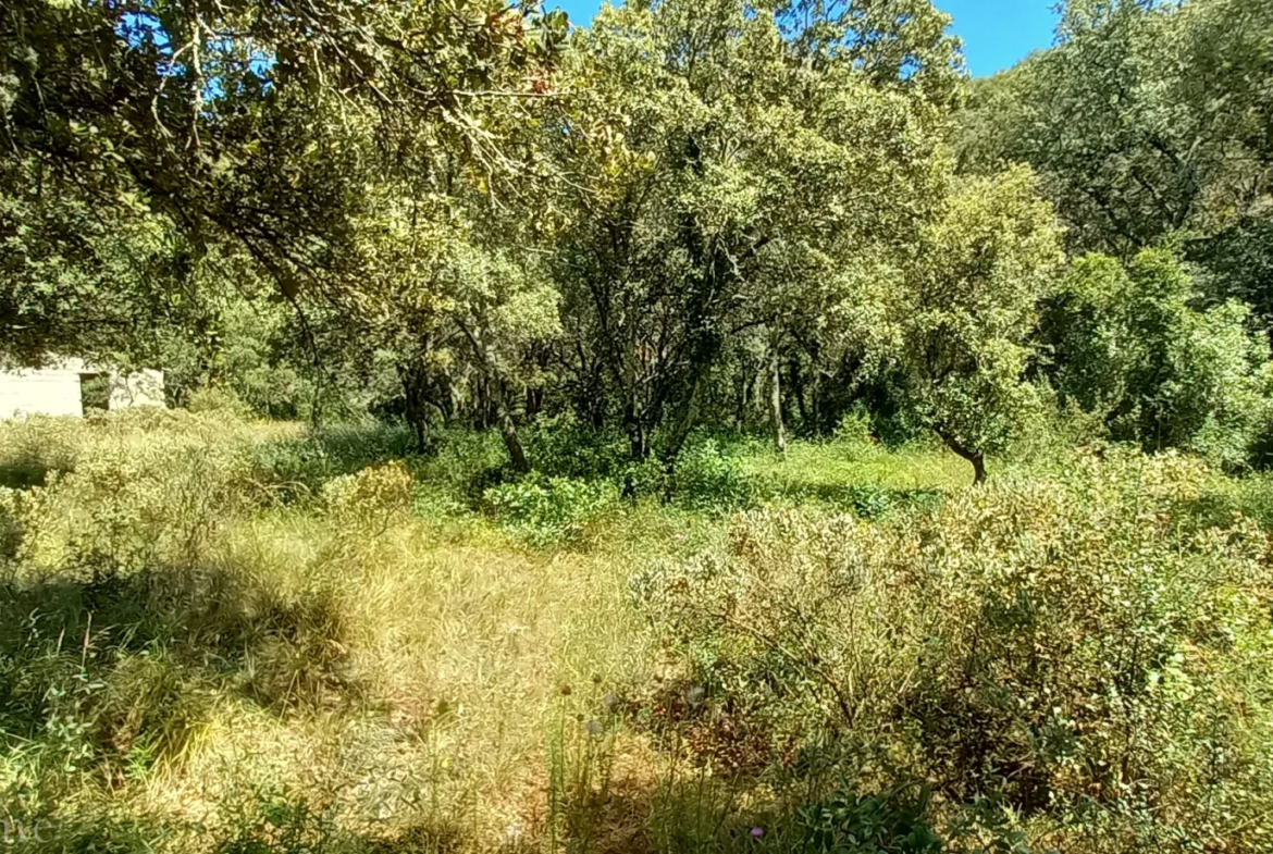 Terrain de loisirs à vendre entre Uzès et Saint Maximin 