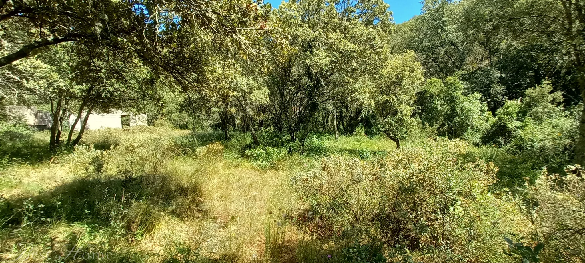 Terrain de loisirs à vendre entre Uzès et Saint Maximin 