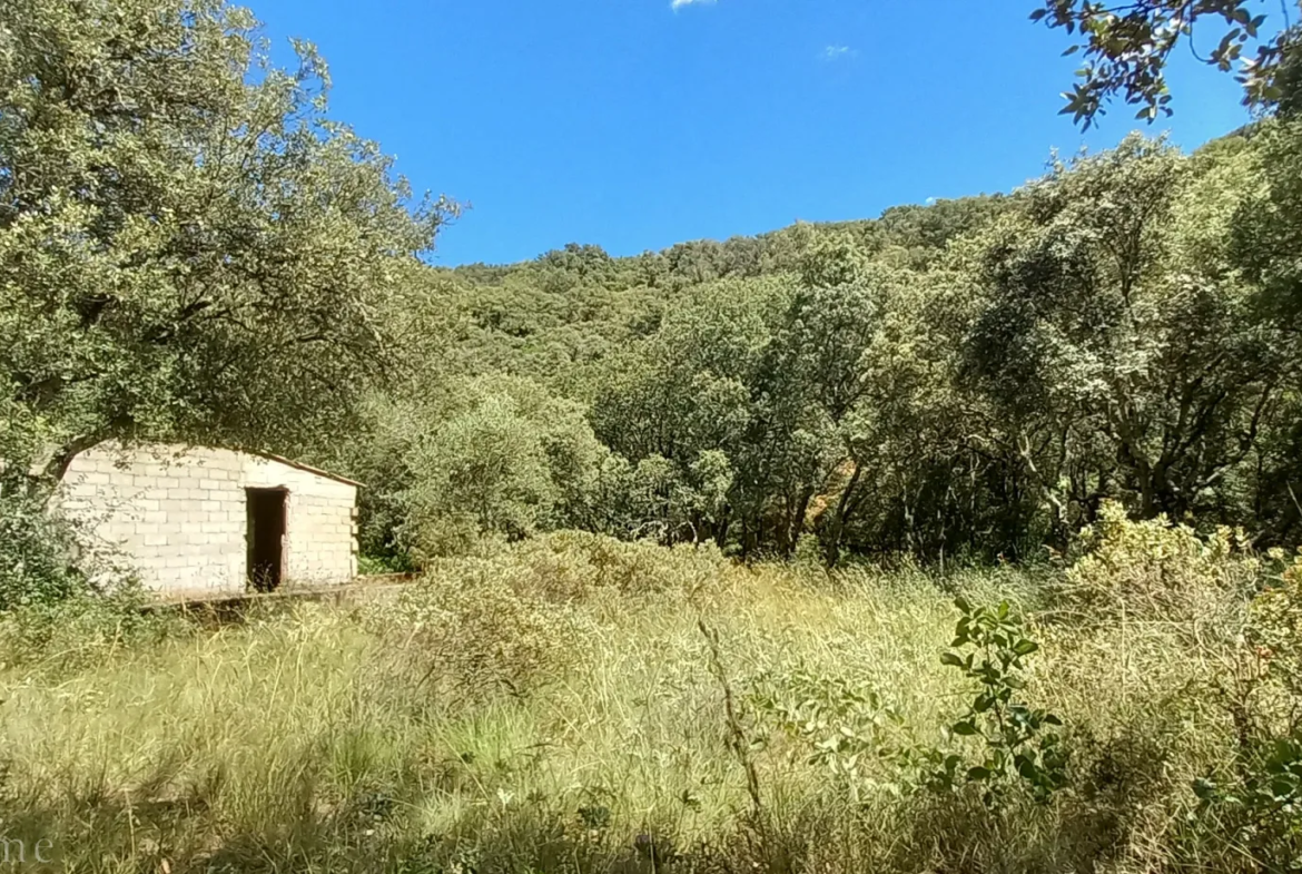 Terrain de loisirs à vendre entre Uzès et Saint Maximin 