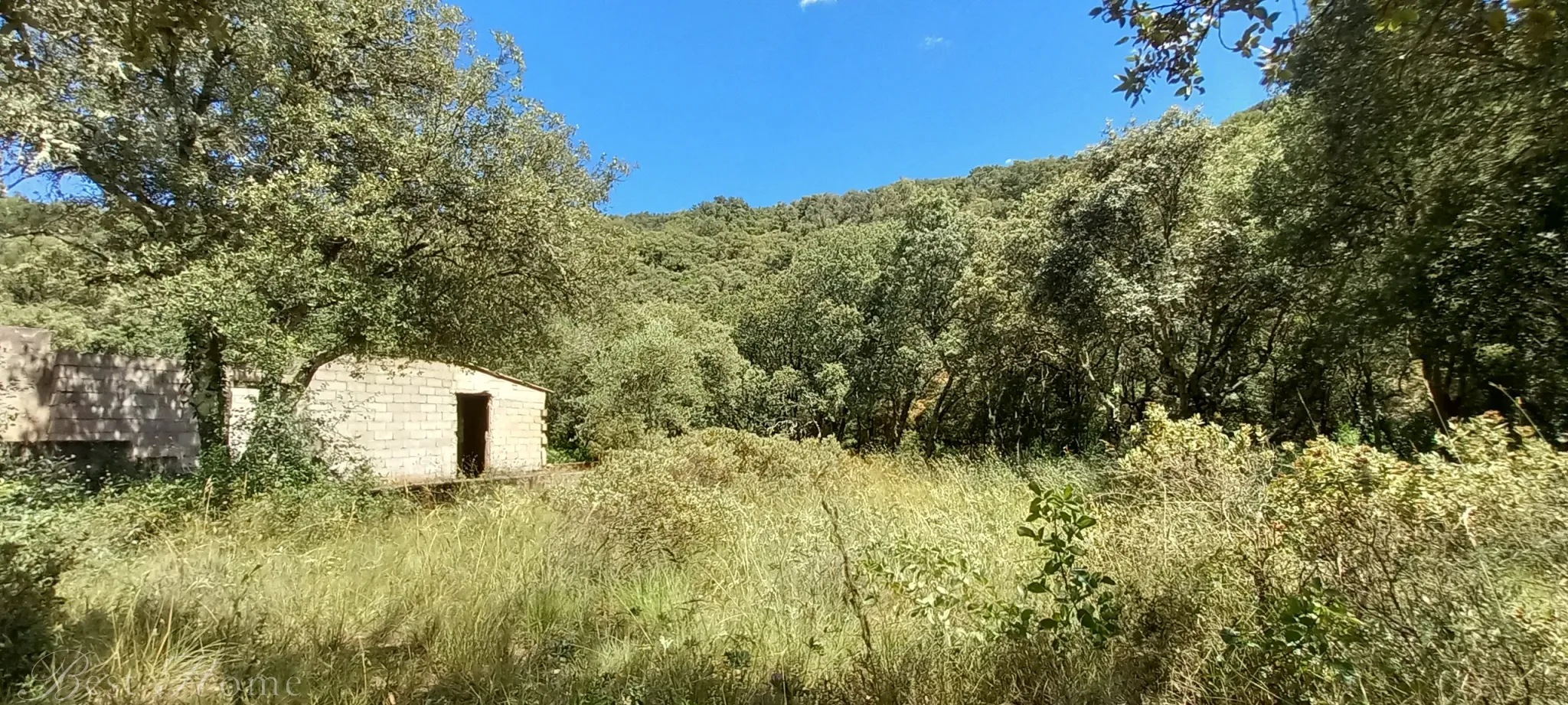 Terrain de loisirs à vendre entre Uzès et Saint Maximin 