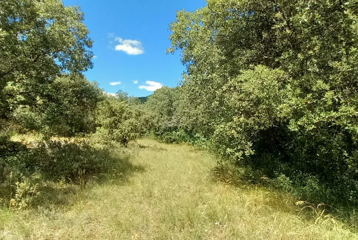 Terrain de loisirs à vendre entre Uzès et Saint Maximin 