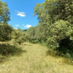 Terrain de loisirs à vendre entre Uzès et Saint Maximin