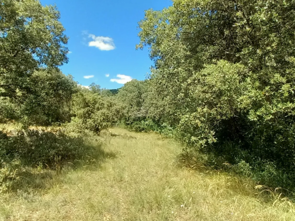 Terrain de loisirs à vendre entre Uzès et Saint Maximin