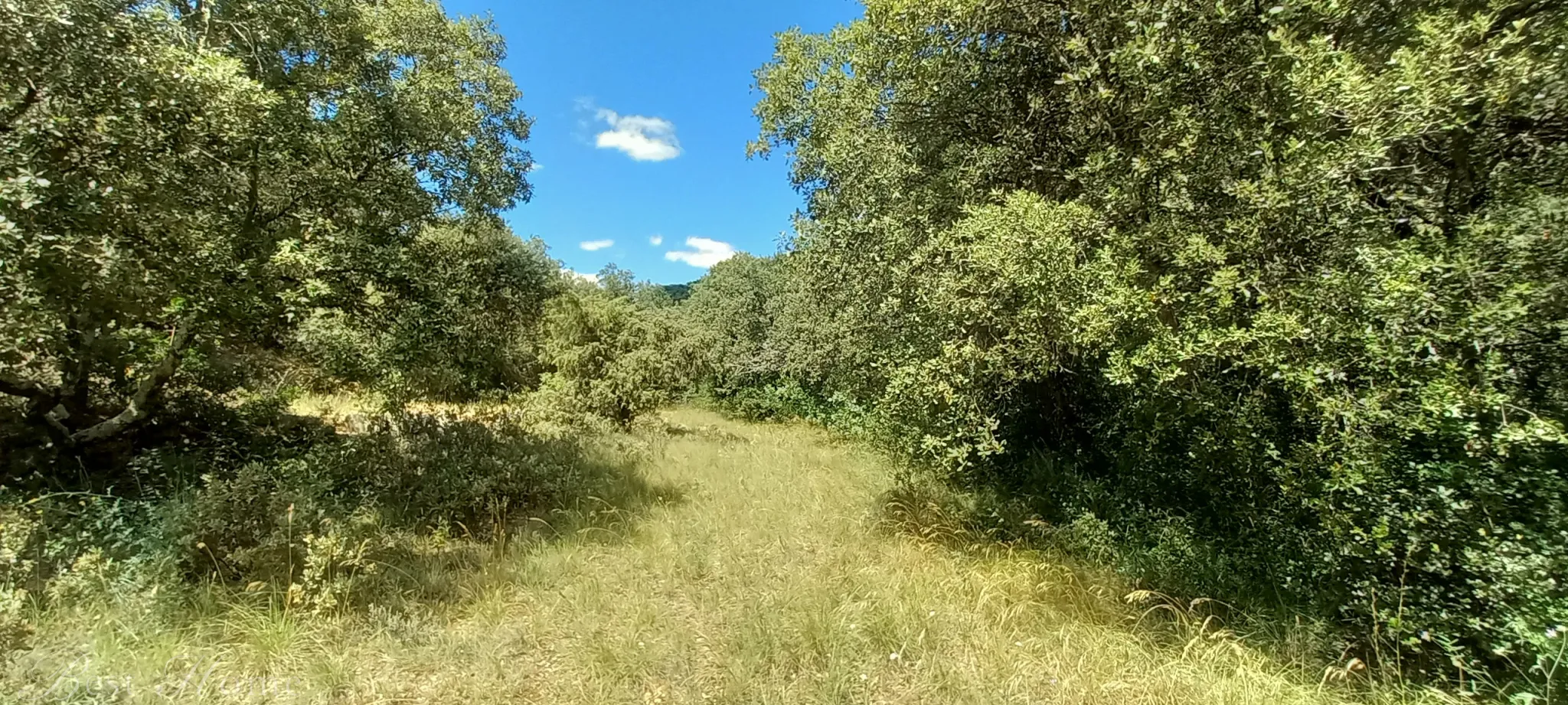 Terrain de loisirs à vendre entre Uzès et Saint Maximin 