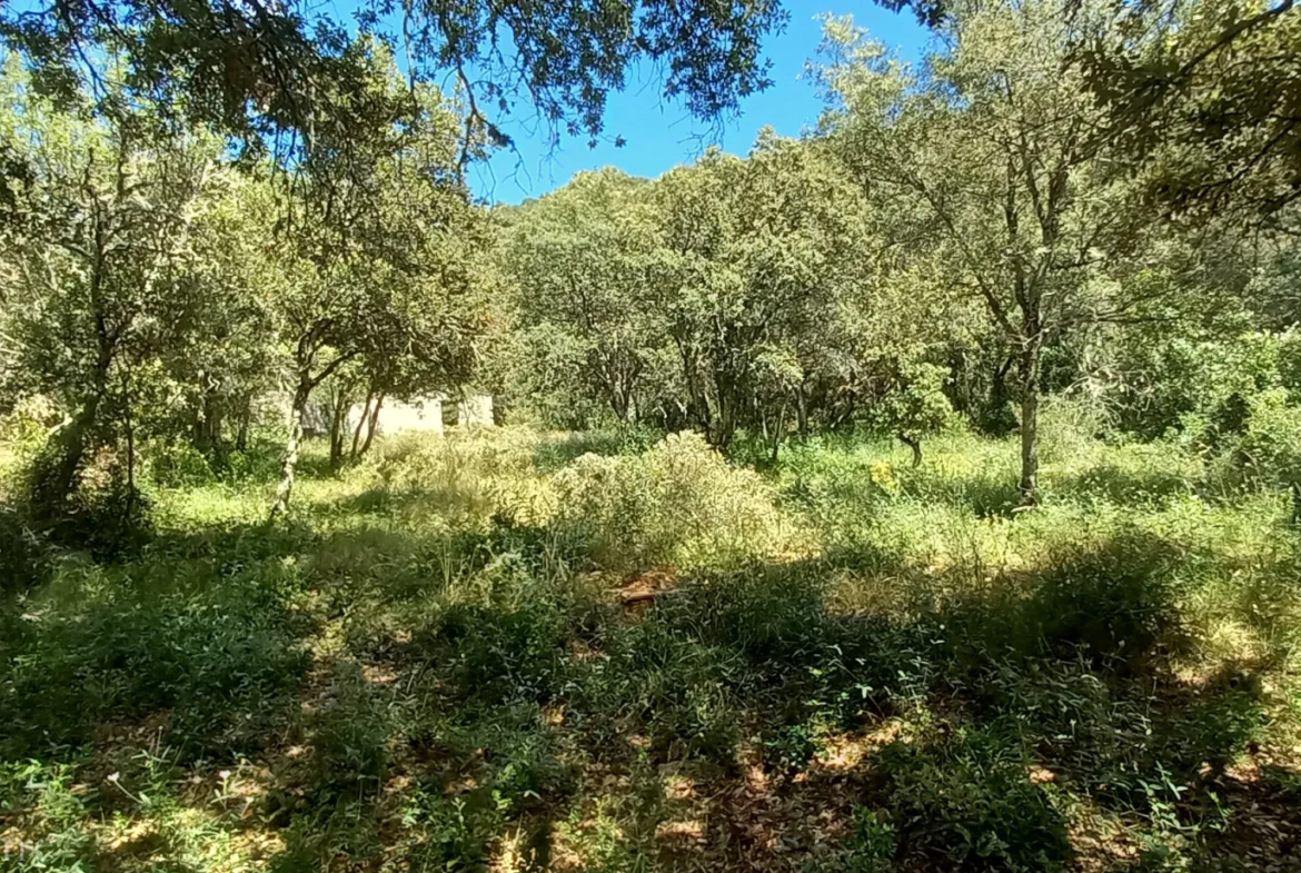 Terrain de loisirs à vendre entre Uzès et Saint Maximin 