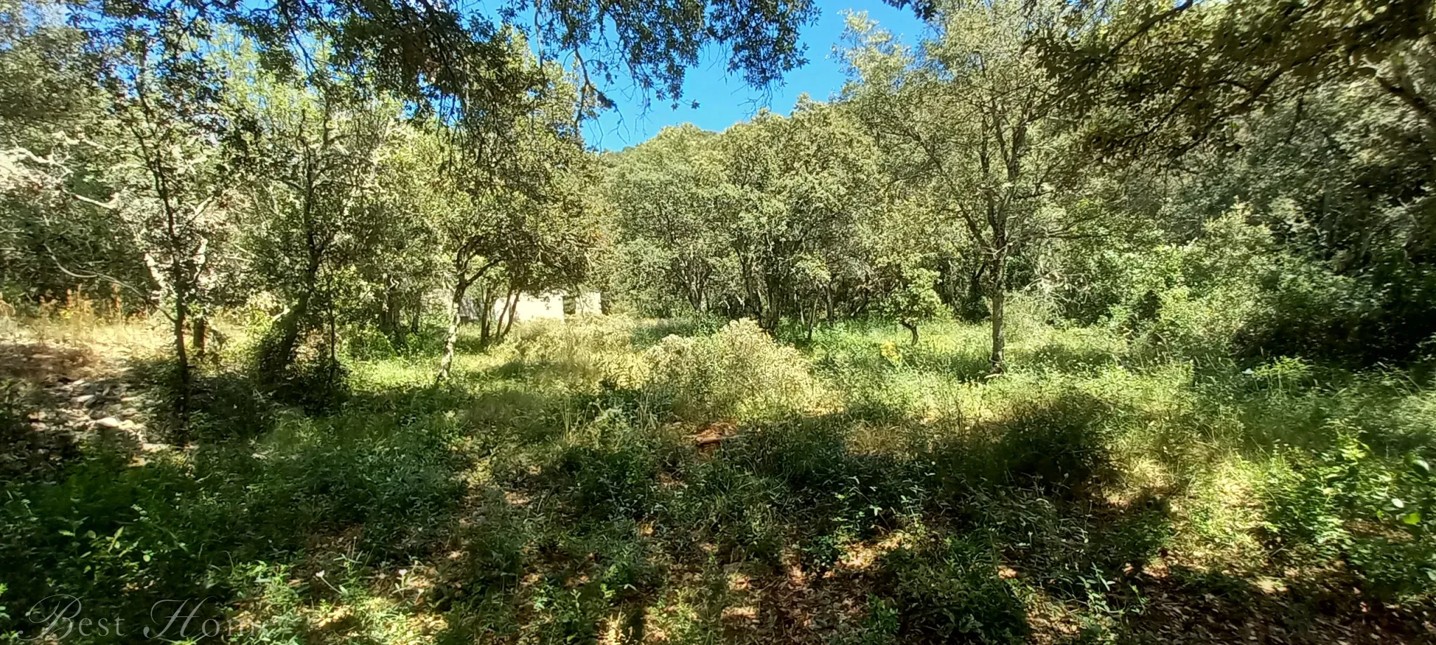 Terrain de loisirs à vendre entre Uzès et Saint Maximin 