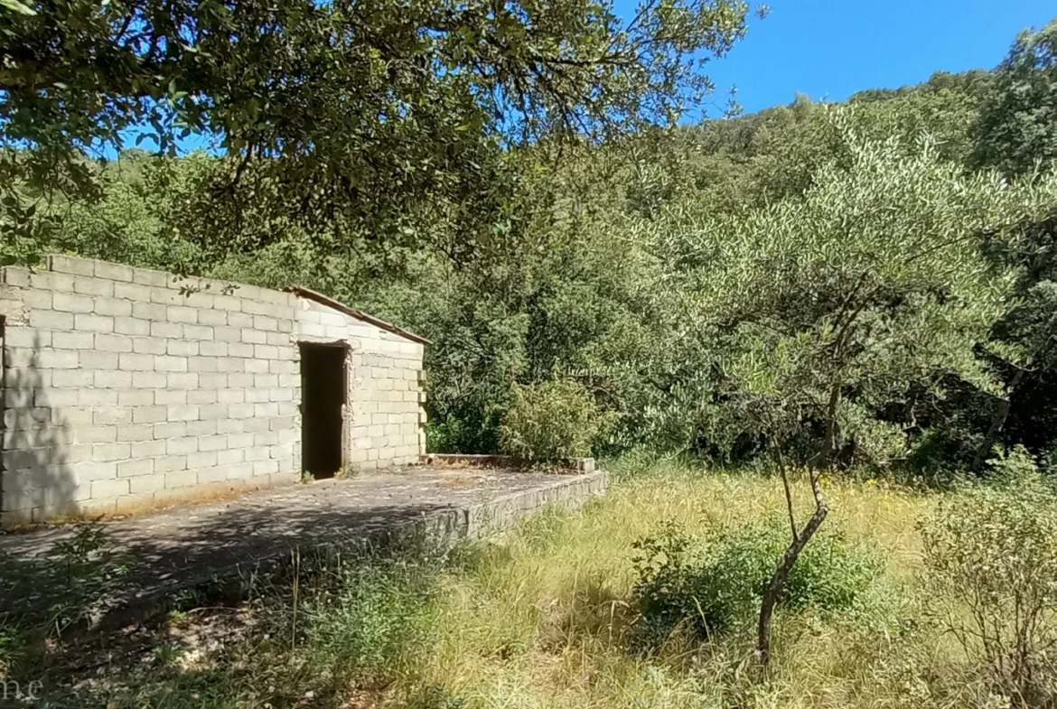 Terrain de loisirs à vendre entre Uzès et Saint Maximin 