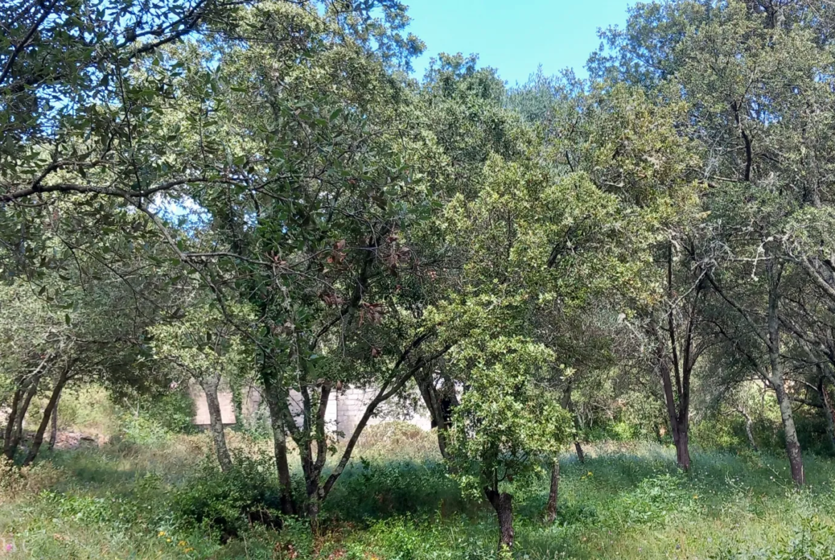 Terrain de loisirs à vendre entre Uzès et Saint Maximin 