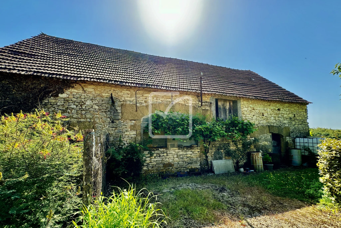 Maison 3 chambres en viager occupé à Degagnac avec grange 