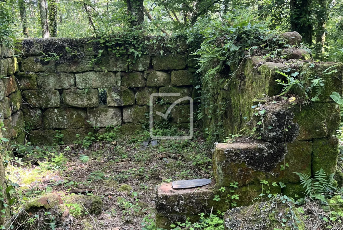 Bois à vendre à Objat - 1,3 hectares avec ruine et source 