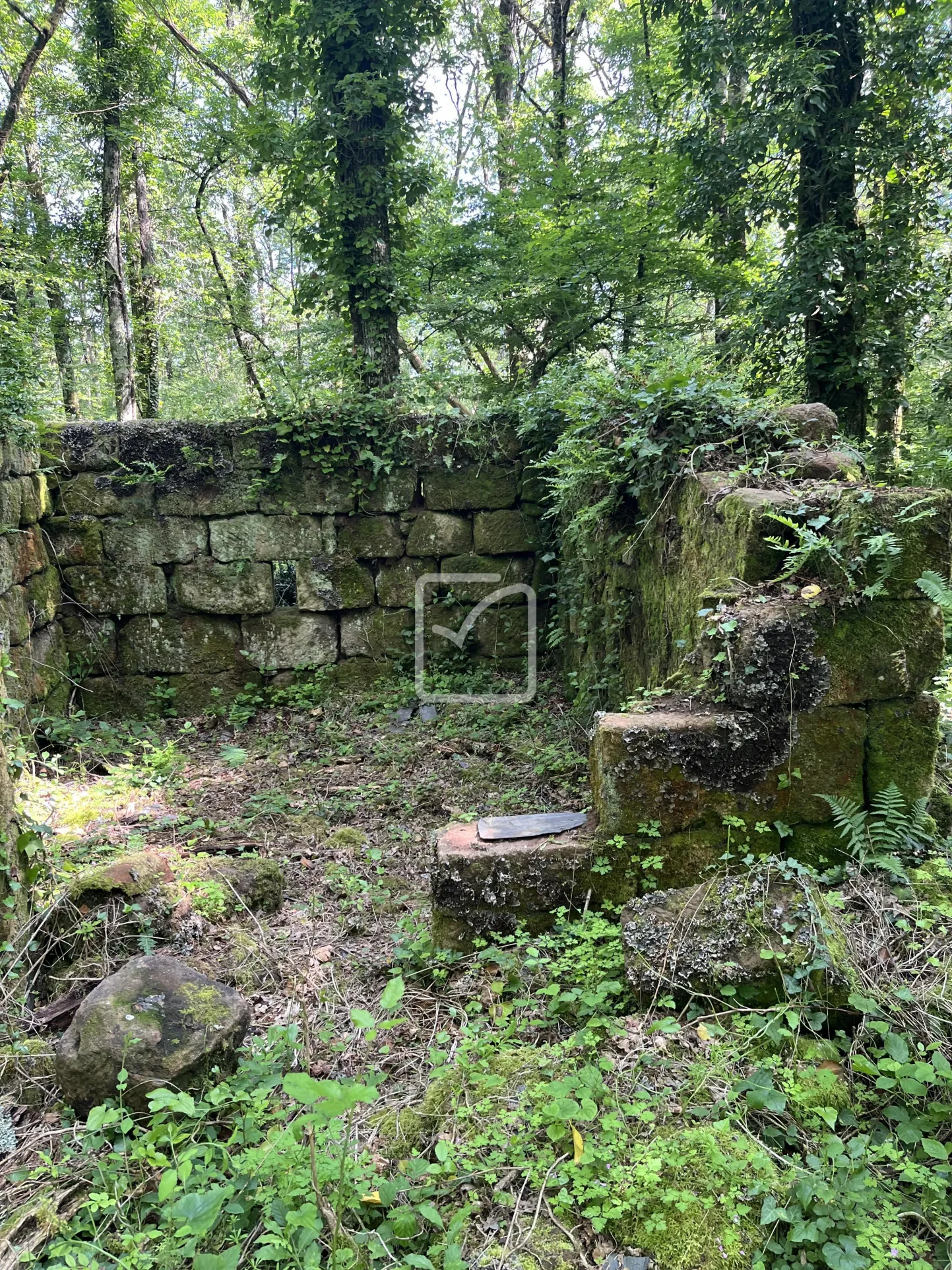 Bois à vendre à Objat - 1,3 hectares avec ruine et source 