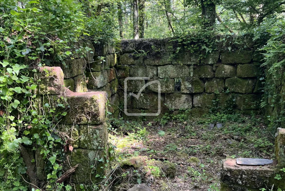 Bois à vendre à Objat - 1,3 hectares avec ruine et source 