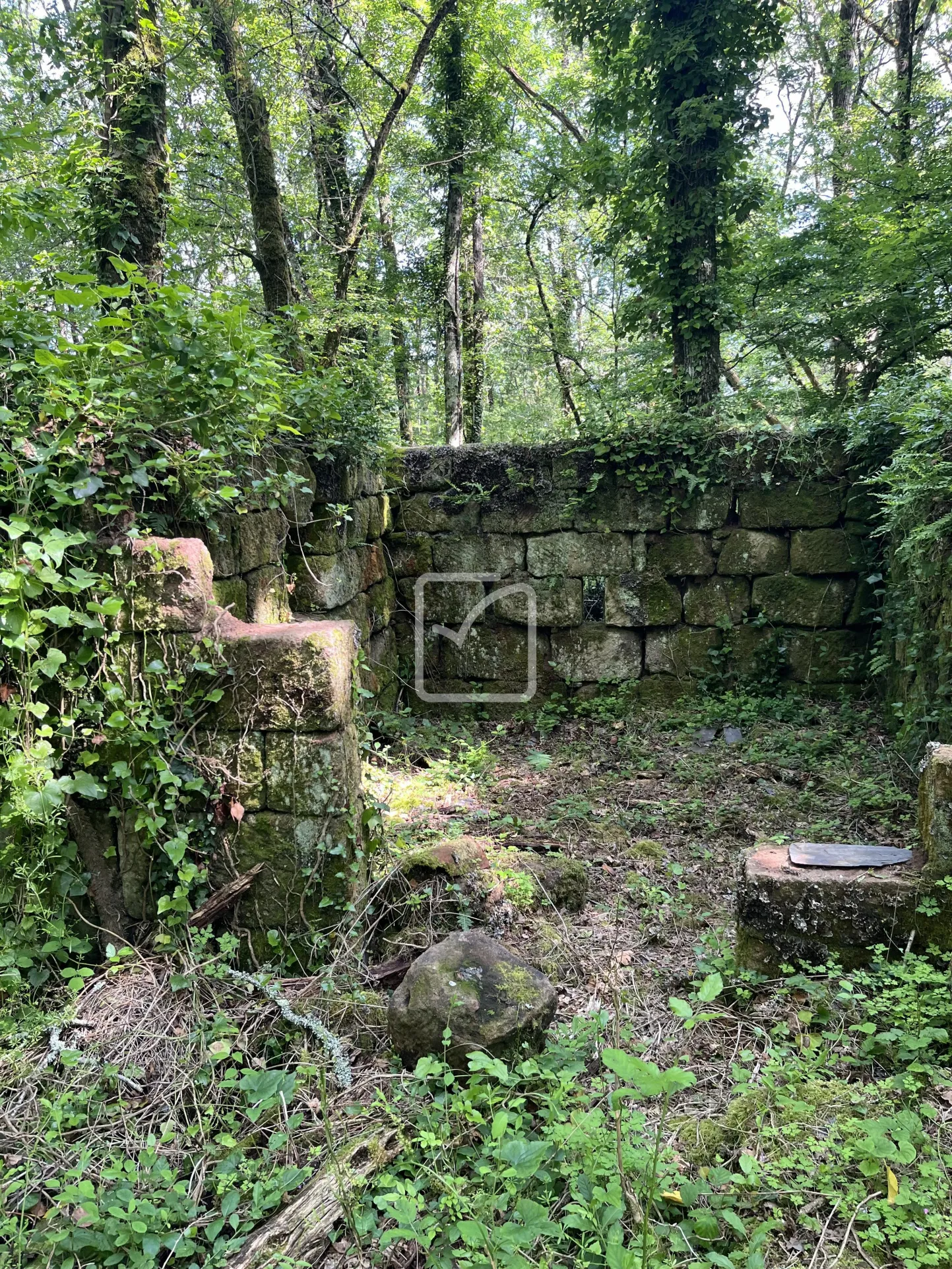 Bois à vendre à Objat - 1,3 hectares avec ruine et source 