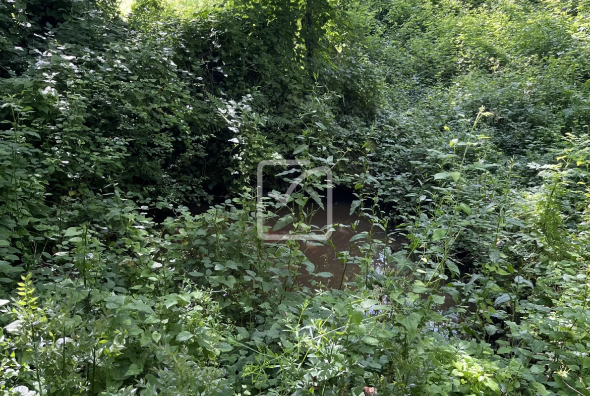 Bois à vendre à Objat - 1,3 hectares avec ruine et source 