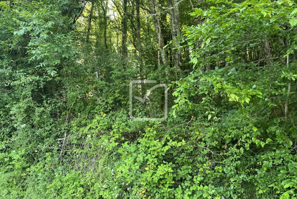 Bois à vendre à Objat - 1,3 hectares avec ruine et source 