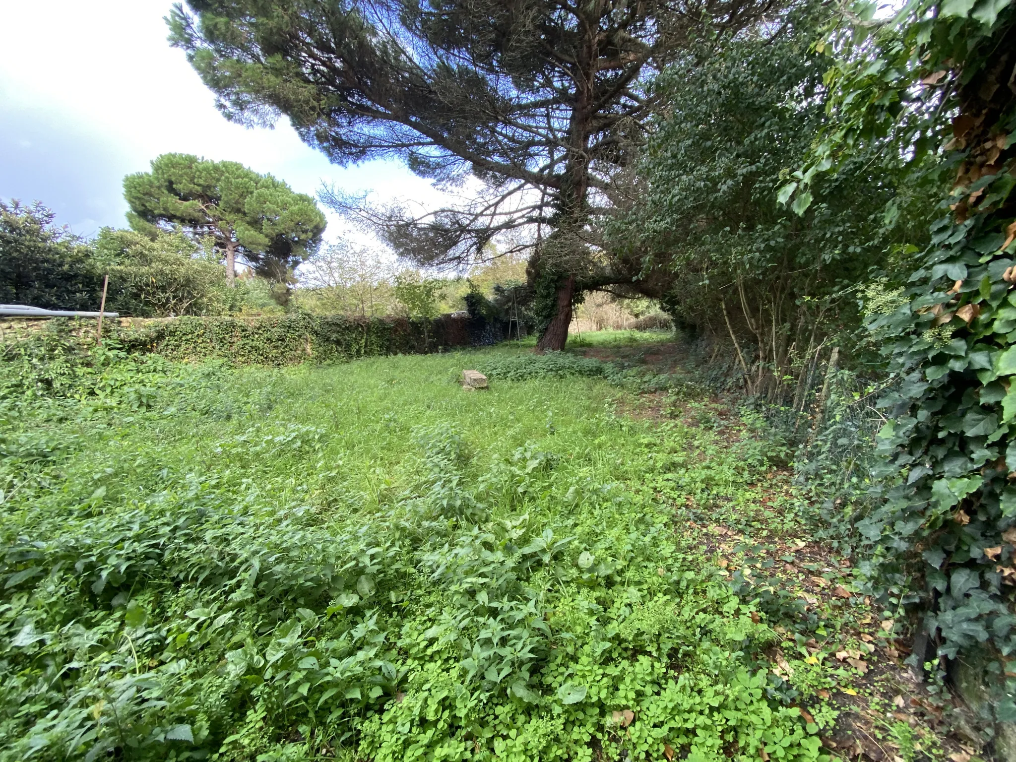 Maison avec jardin au centre-ville de Langon à vendre 