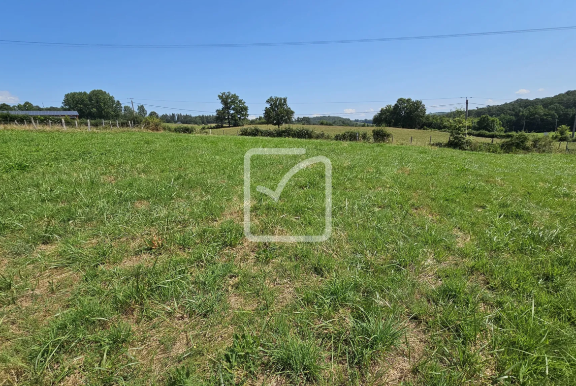 Terrain constructible de 1200 m² à Mansac à vendre 