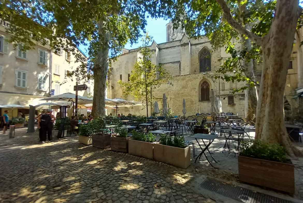 À vendre : Charmant appartement F2 en plein cœur d'Avignon 