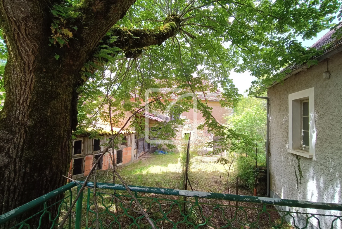 Périgourdine ancienne à restaurer à Savignac les Églises 